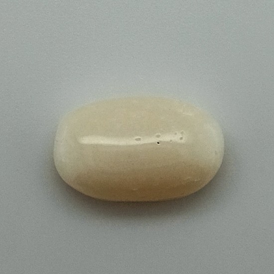 White Coral (Safed Moonga)  7.29 Ct Best Quality 